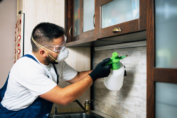 Best Pest Control Treatment  in Rolling Hills, CA