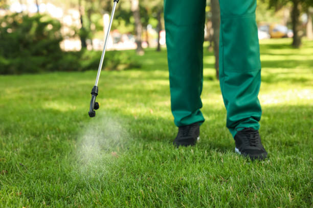 Best Pest Control Near Me  in Rolling Hills, CA