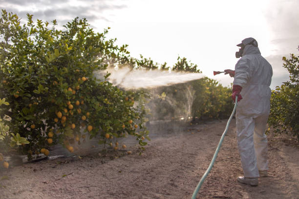 Best Wildlife Control Services  in Rolling Hills, CA