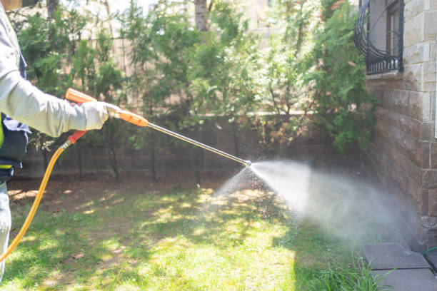 Best Pest Control Near Me  in Rolling Hills, CA