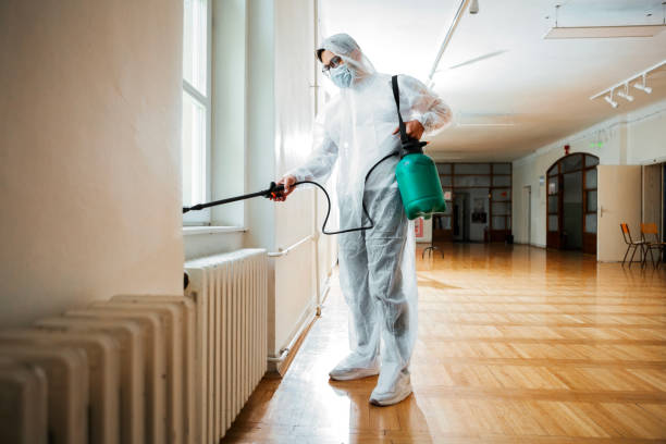 Best Local Pest Control Services  in Rolling Hills, CA