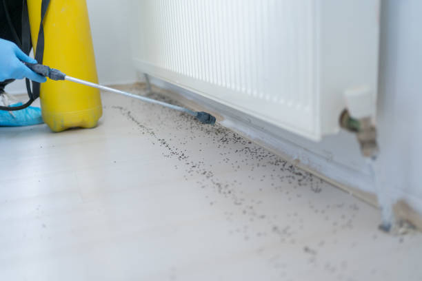 Best Bed Bug Extermination  in Rolling Hills, CA