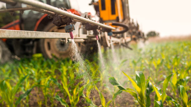 Professional Pest Control in Rolling Hills, CA